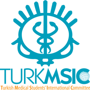 TurkMSIC Logo